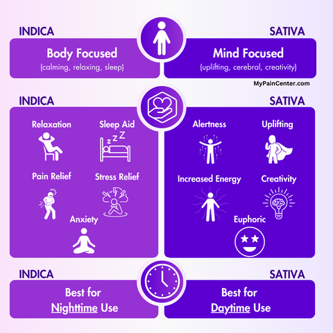 what is sativa vs indica strains?