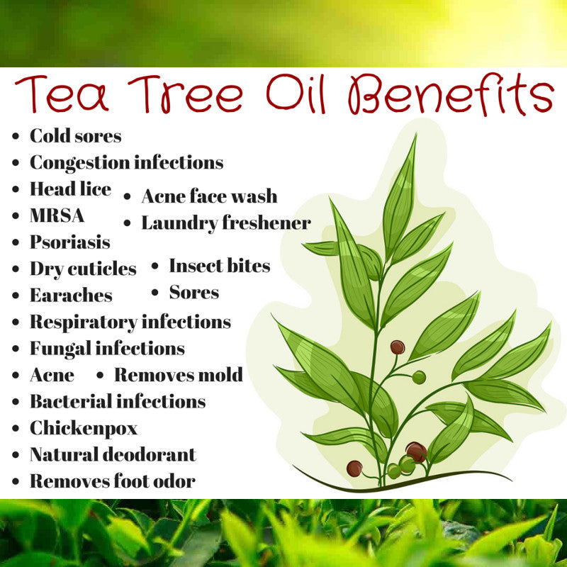 Top 11 Benefits of Tea Tree Oil – Organic Whole Foods Online