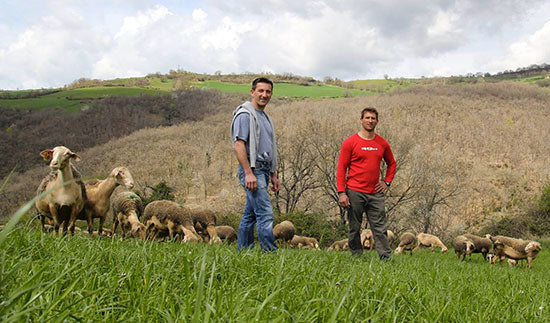 Ferme d'Ambias-image