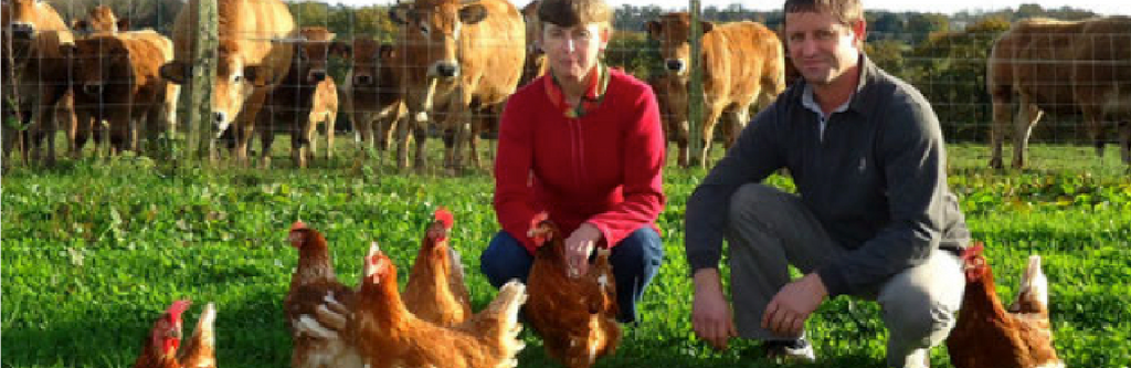 Ferme de Lann Bodiguen-image