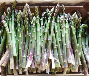 Asperges Vertes BIO