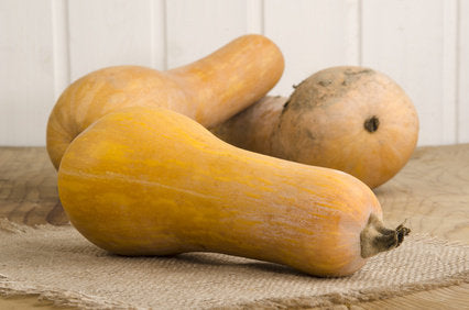 Butternut