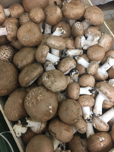 Champignons de paris blonds BIO