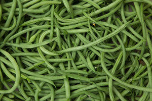 Haricots verts BIO