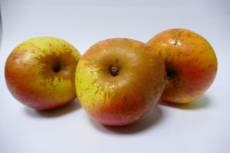 Pommes Reinette d'Armorique Bio