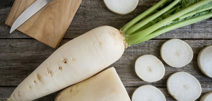 Radis Long blanc daikon Bio