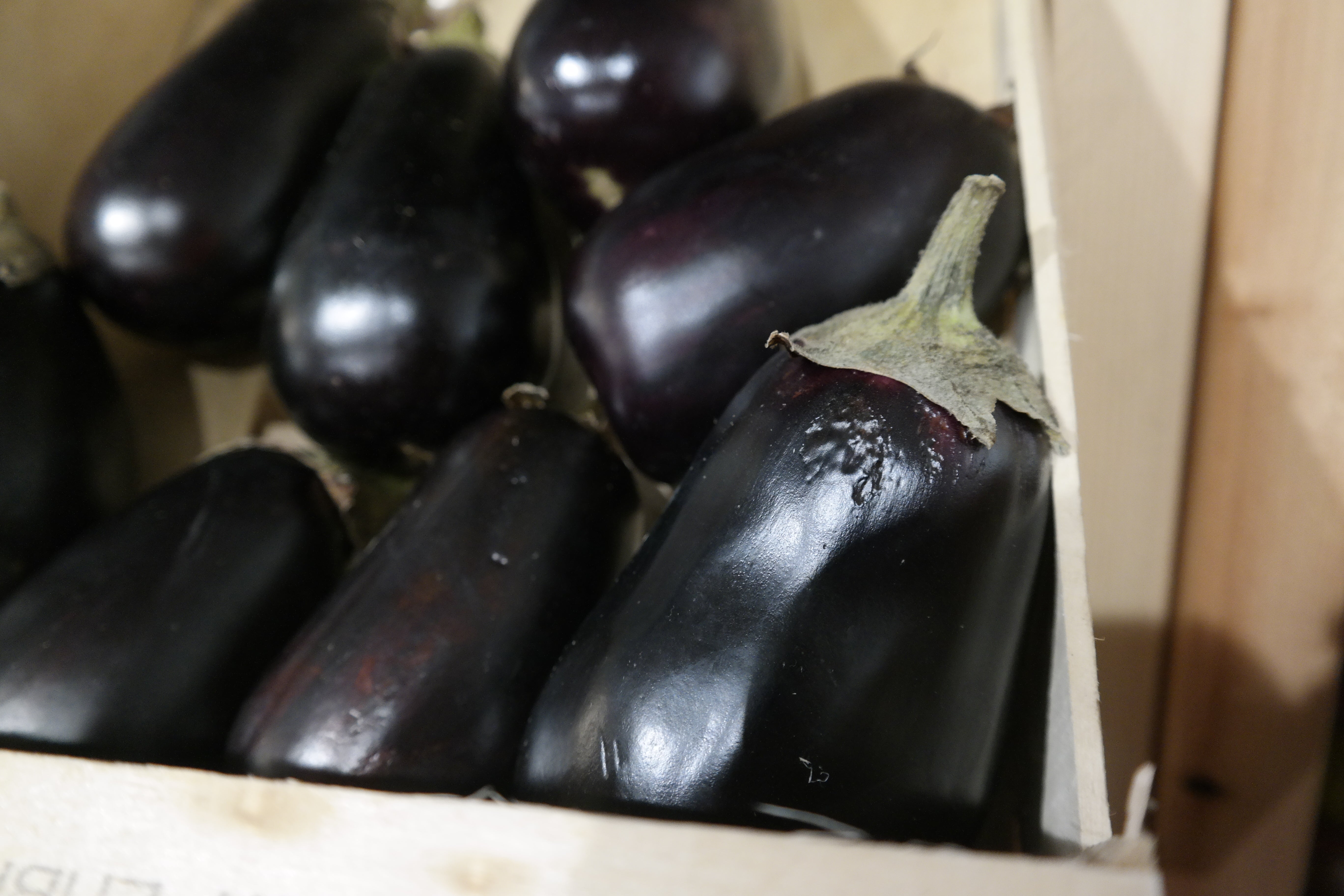 Aubergine demi-longue BIO