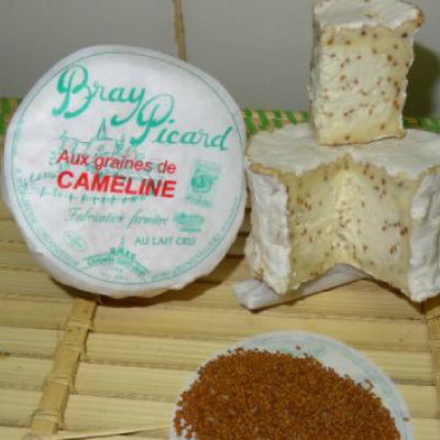 Bray picard aux graines de cameline - fromage en direct du producteur