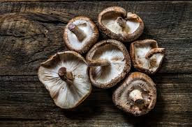 Champignon Shiitake