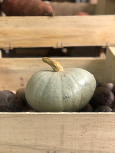 Courge bleue de Hongrie