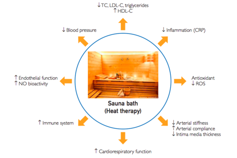 sauna benefits