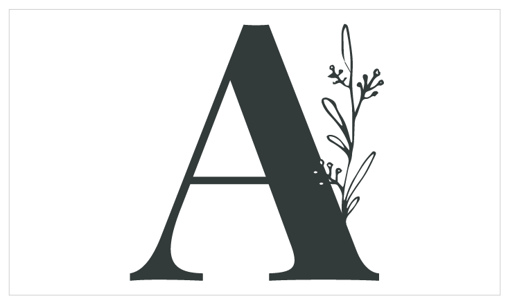 alphabet végétal lettres fleuries bougies