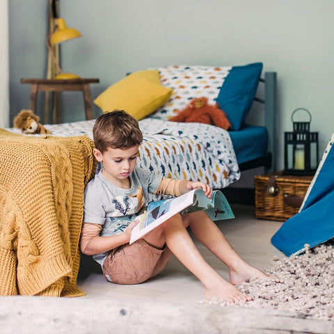 Toddler Dinosaur Bedroom Ideas