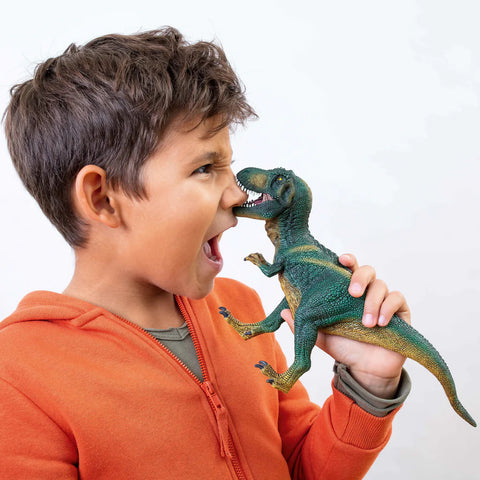 Schleich Dinosaur Figures