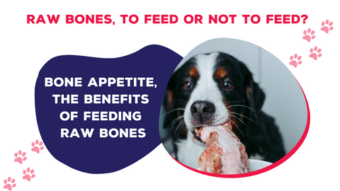 raw bones for dogs