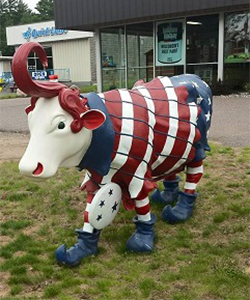 All American cow in Minoqua, WI