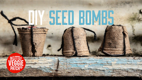 DIY Seed Bombs
