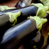 Eggplant 'Florida Market' Heirloom Seeds