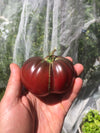 Tomato 'Black Russian' Heirloom Seeds