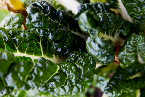 silverbeet / swiss chard