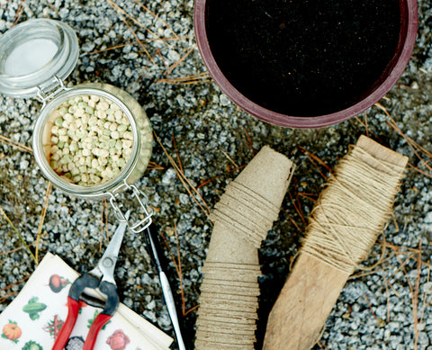 DIY Seed Bombs