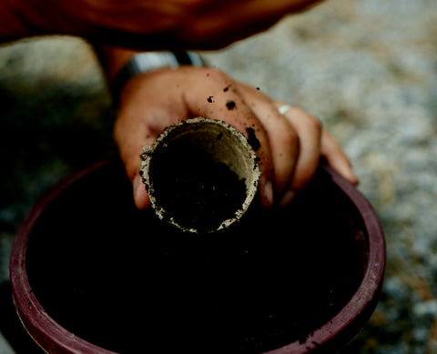 DIY Seed Bombs