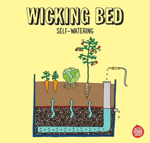 Wicking Garden Beds – why use them