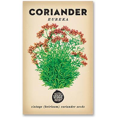 coriander heirloom eureka seeds