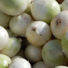 Onions 'Gladalan White' Heirloom Seeds