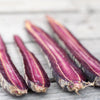 Carrot 'Cosmic Purple' Heirloom Seeds