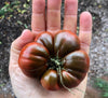 Tomato 'Black Russian' Heirloom Seeds