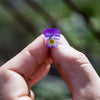 Viola "Johnny Jump Up" Heirloom seeds