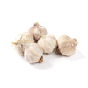 Early Purple Garlic Bulbs