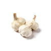 White Crookneck Garlic Bulbs