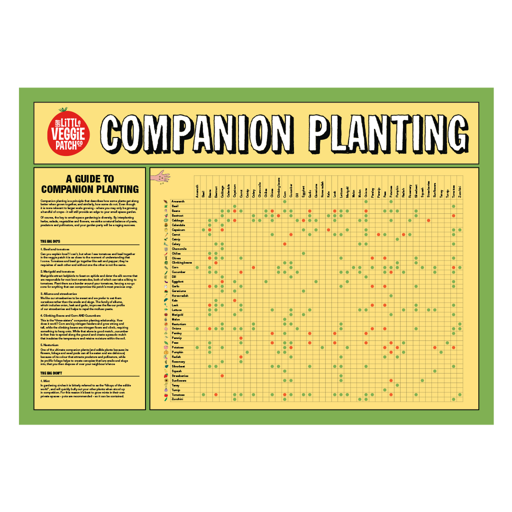 Companion Planting Chart The Little Veggie Patch Co