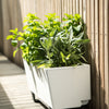 Glowpear Mini Bench Planter