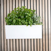 Glowpear Mini Wall Planter