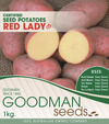 Red Lady Seed Potatoes