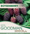 Boysenberry