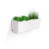 Glowpear Mini Wall Planter