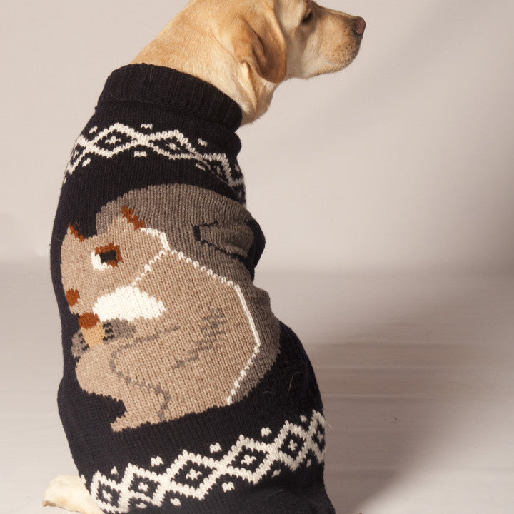 squirrel sweater for dogs