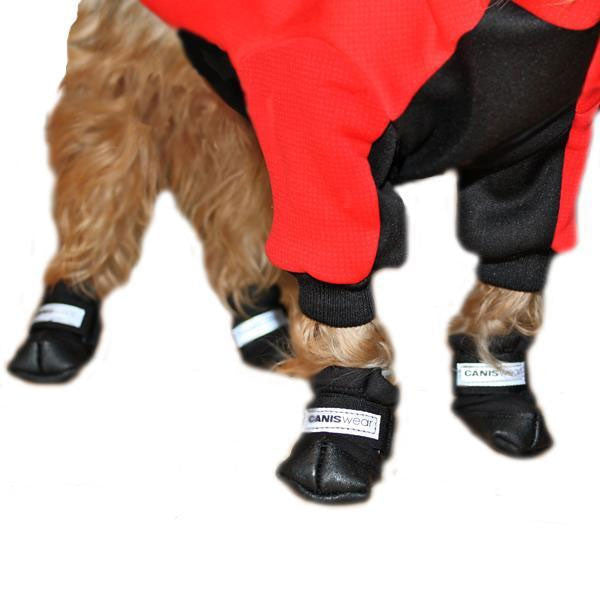 dog boots canada