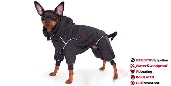 snowsuits for chihuahuas