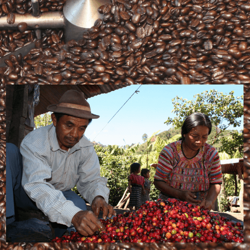 Ethiopian Yirgacheffe - Fresh Roasted | Coffee.org