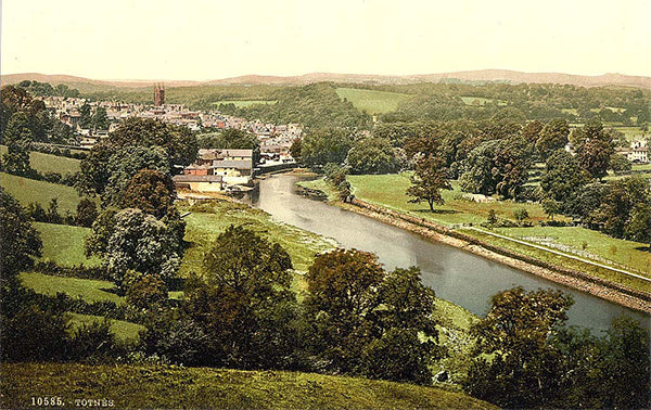 Totnes Devon Postcard