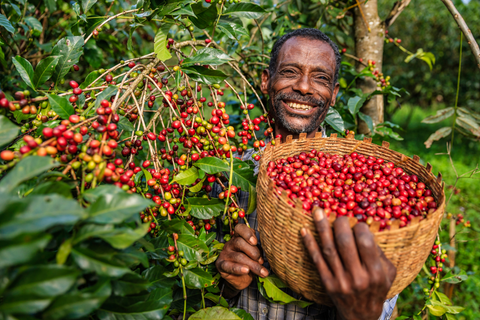 Coffee farming Burundi Africa