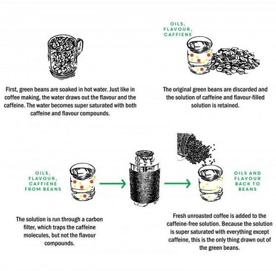 Decaf Coffee process