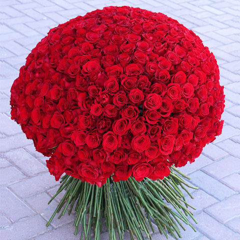 300 Long Stem Rose Bouquet – BetterFlowers.ae
