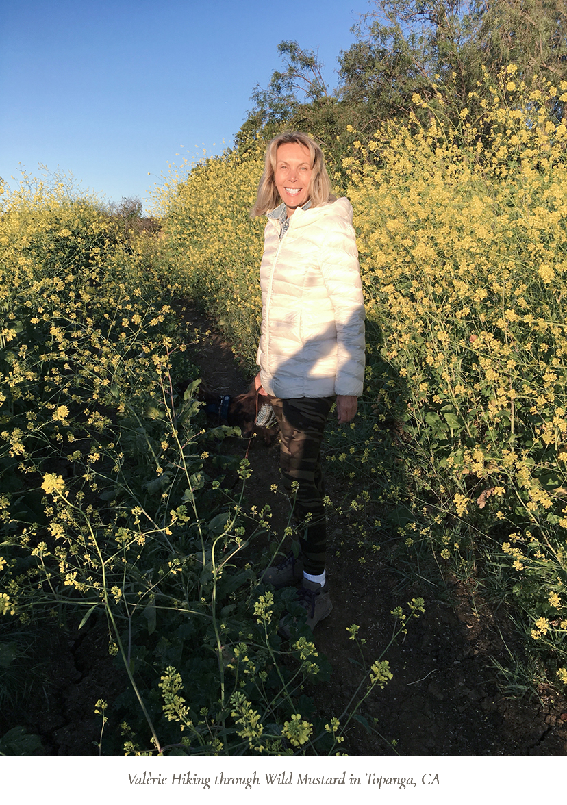 Hiking In Wild Mustard