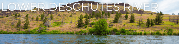 nau staff camping pick: lower deschutes river